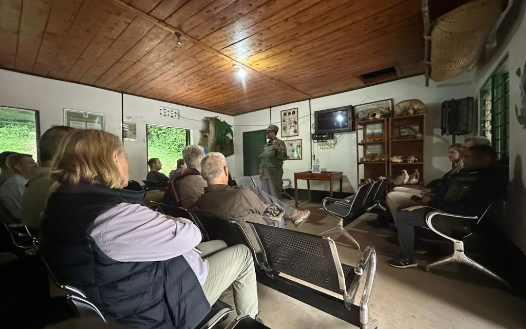 gorilla-trekking-age-limit-for-families
