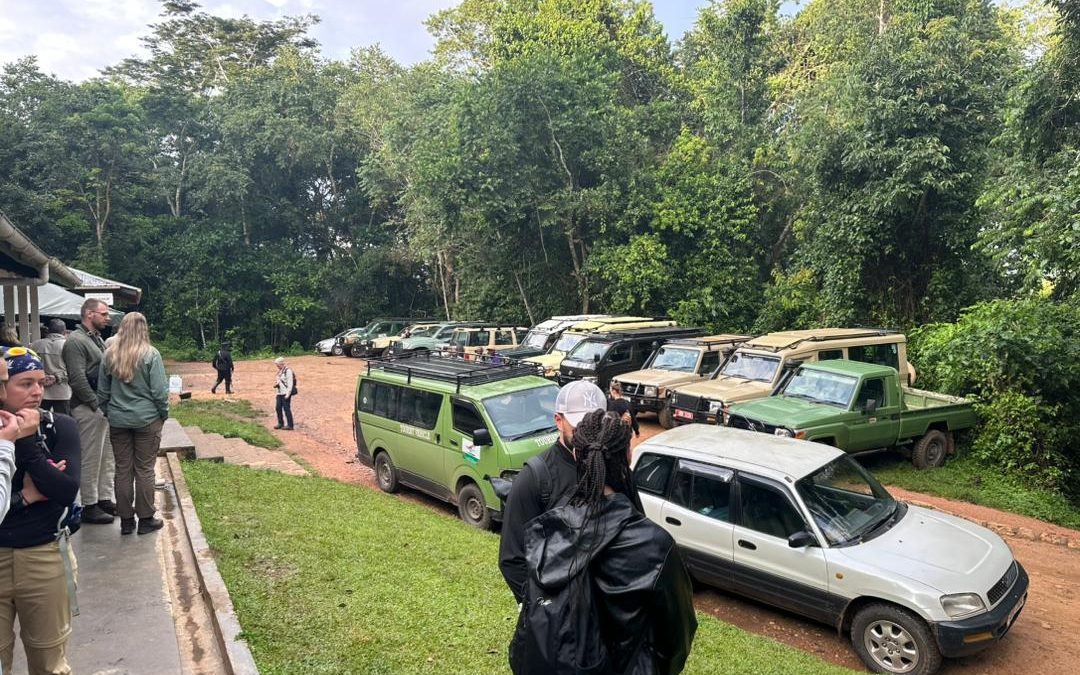 6-days-uganda-gorilla-and-chimpanzee-safari-from-kigali