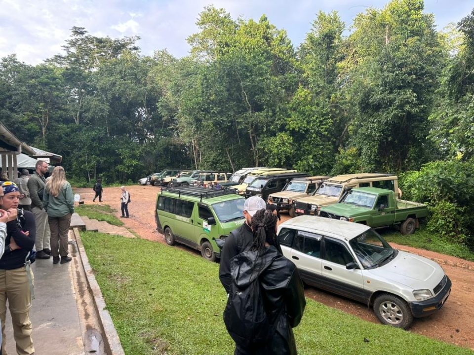 6-days-uganda-gorilla-and-chimpanzee-safari-from-kigali