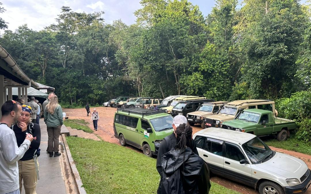 safe-family-safaris-in-uganda