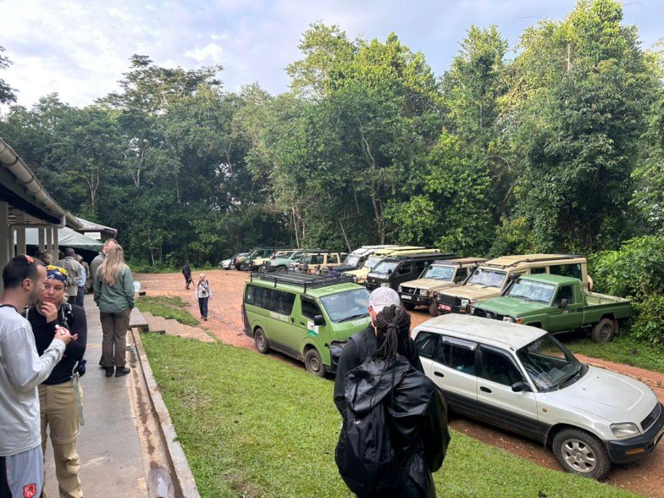 safe-family-safaris-in-uganda
