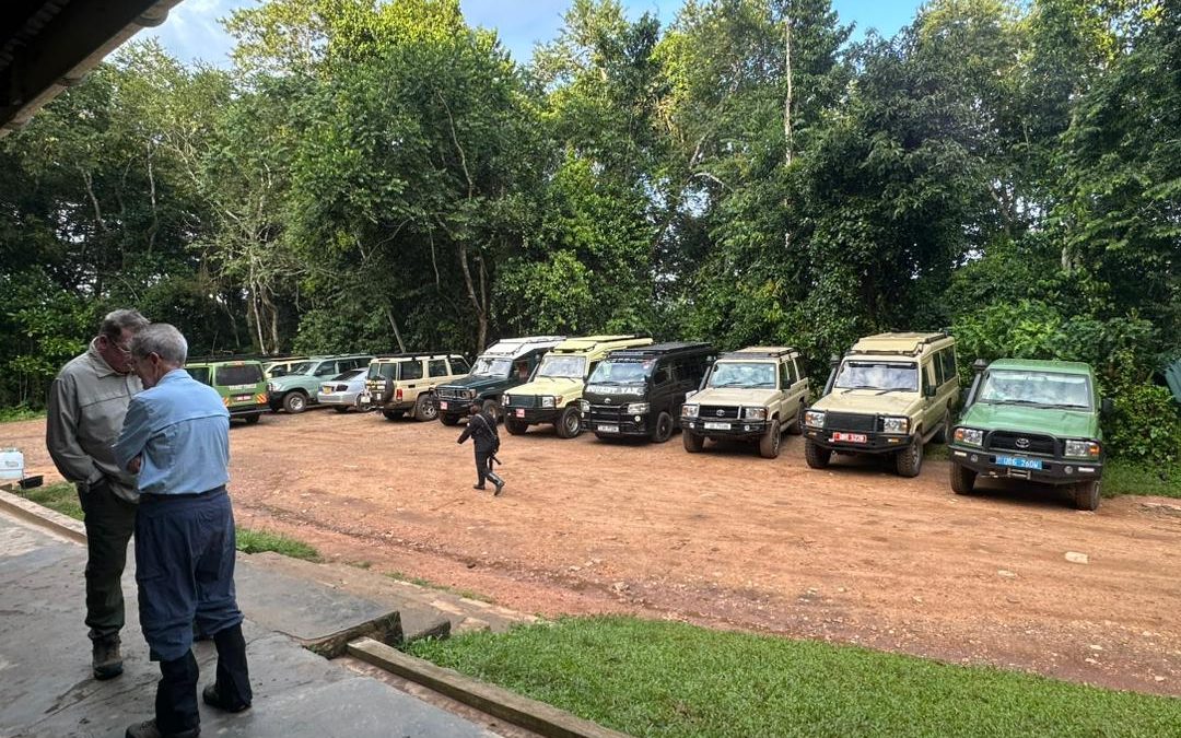 budget-gorilla-trekking-tours-from-kigali