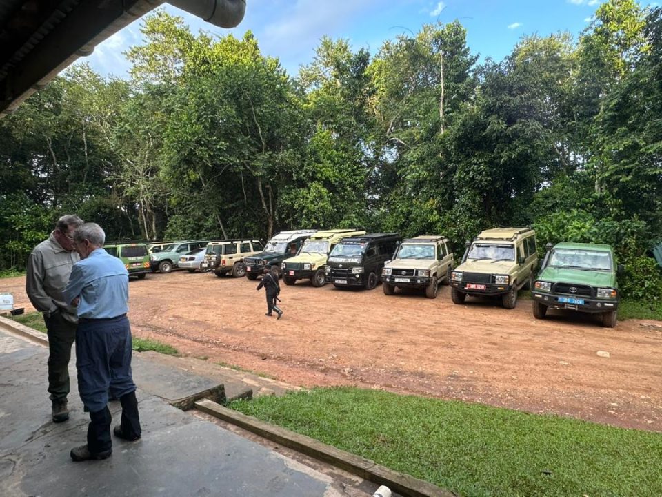 budget-gorilla-trekking-tours-from-kigali