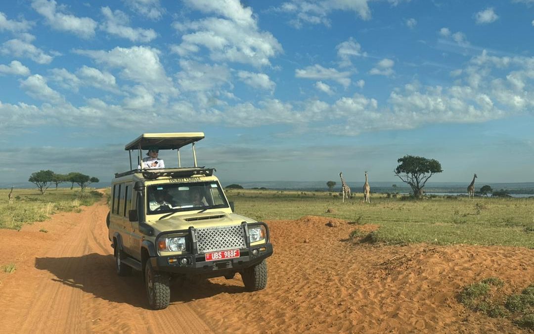 uganda-safari-from-kigali