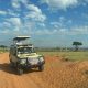 uganda-safari-from-kigali