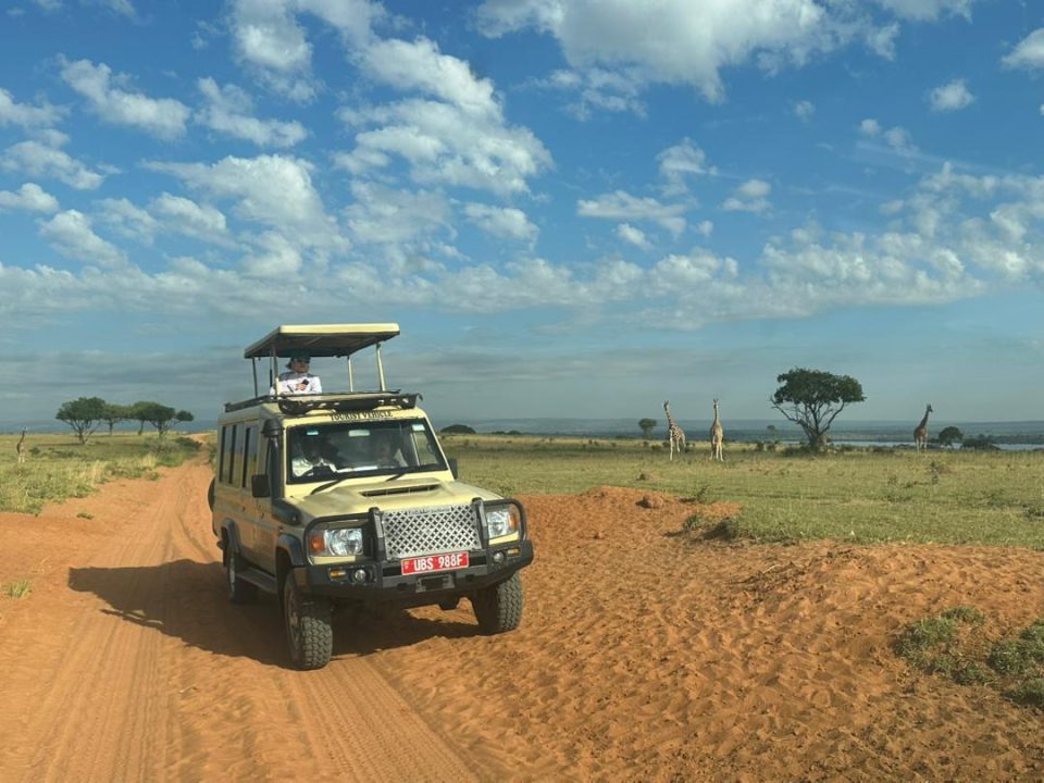 uganda-safari-from-kigali