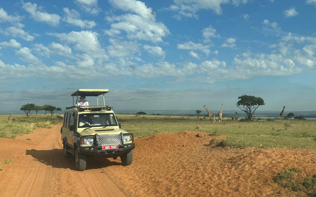 uganda-wildlife-safari-via-rwanda