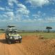 uganda-wildlife-safari-via-rwanda