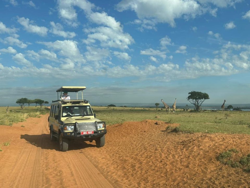uganda-wildlife-safari-via-rwanda