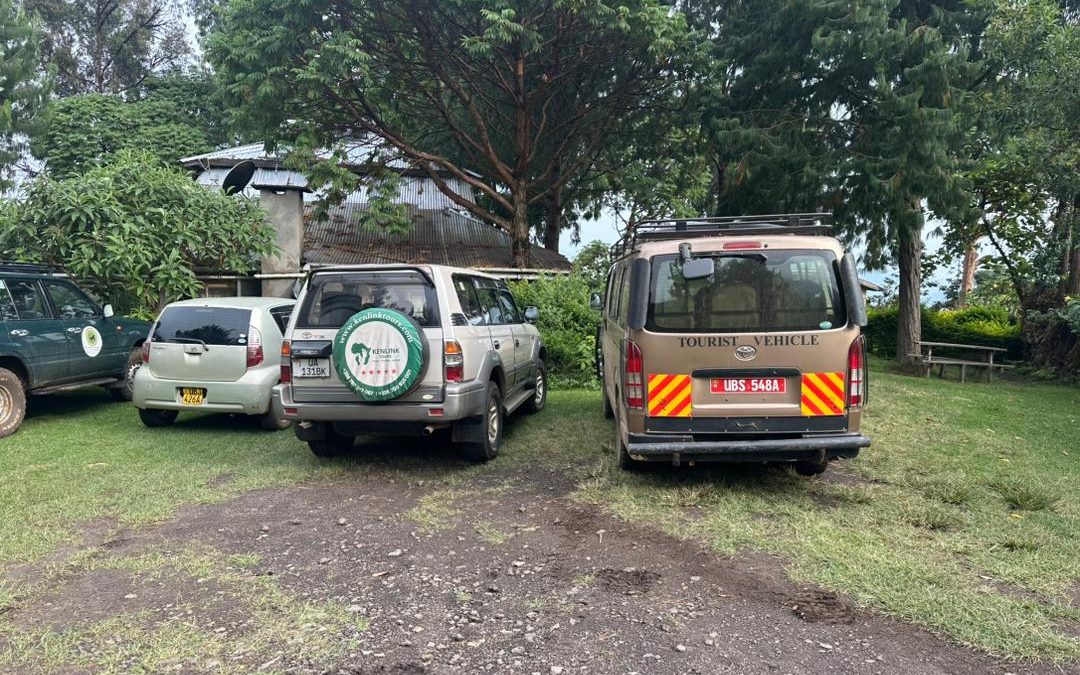 uganda-big-five-and-gorilla-safari