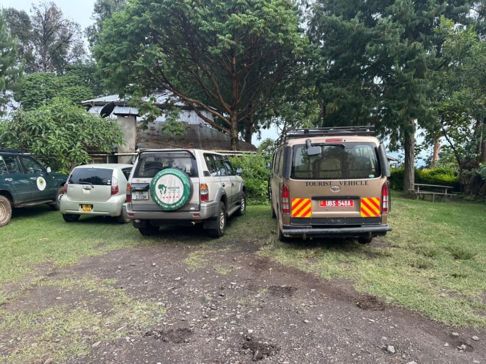 uganda-big-five-and-gorilla-safari
