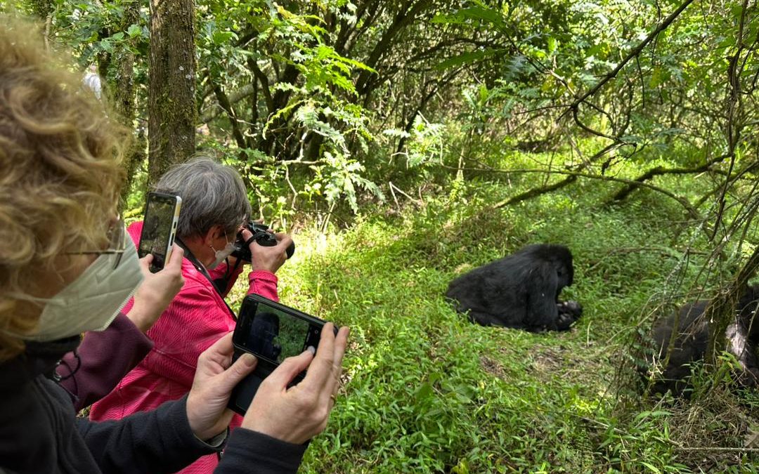 kigali-to-mgahinga-gorilla-national-park-safari