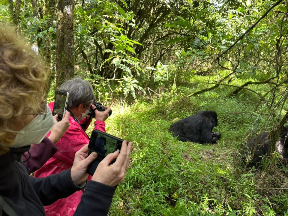 kigali-to-mgahinga-gorilla-national-park-safari