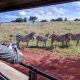 tailor-made-family-safaris-in-uganda