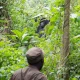 group-gorilla-tracking-safaris