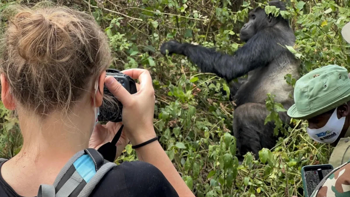 2-day-uganda-gorilla-safari-starting-from-kigali