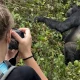 2-day-uganda-gorilla-safari-starting-from-kigali