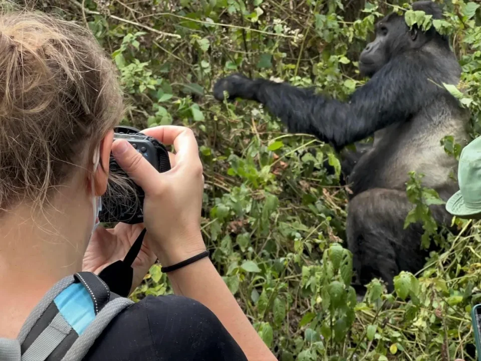 2-day-uganda-gorilla-safari-starting-from-kigali