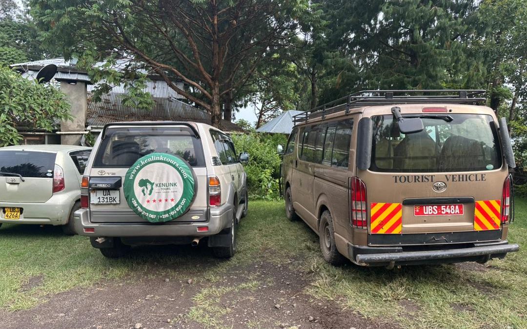 how-to-begin-my-uganda-safari-from-rwanda