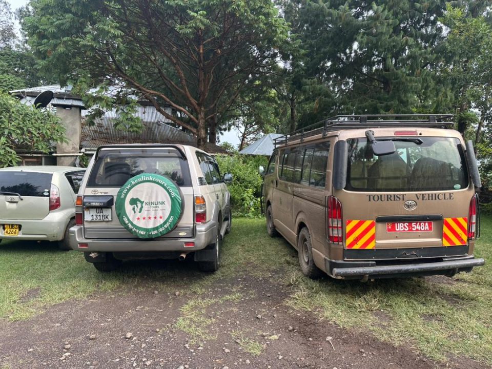how-to-begin-my-uganda-safari-from-rwanda