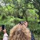 can-book-a-uganda-gorilla-safari-now