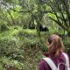 best-bwindi-gorilla-trekking-sector-near-from-rwanda
