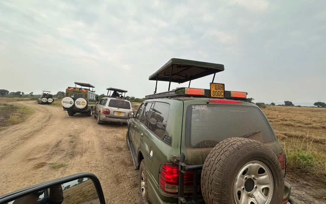 game-safari-and-gorilla-trekking-in-bwindi