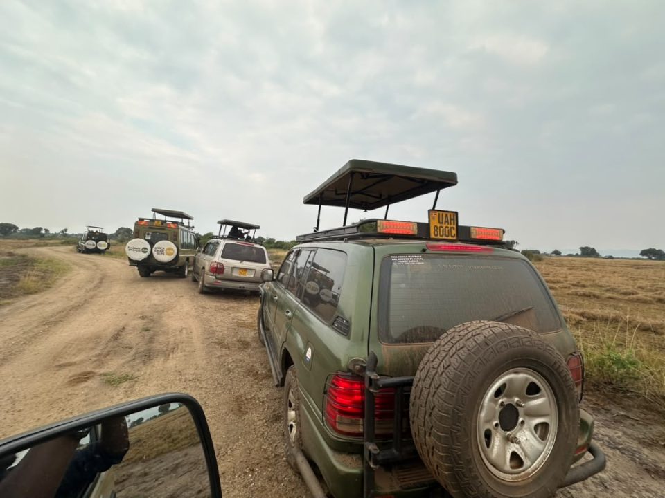game-safari-and-gorilla-trekking-in-bwindi