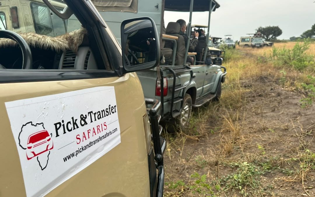 short-gorilla-safari-in-uganda-beginning-from-kigali