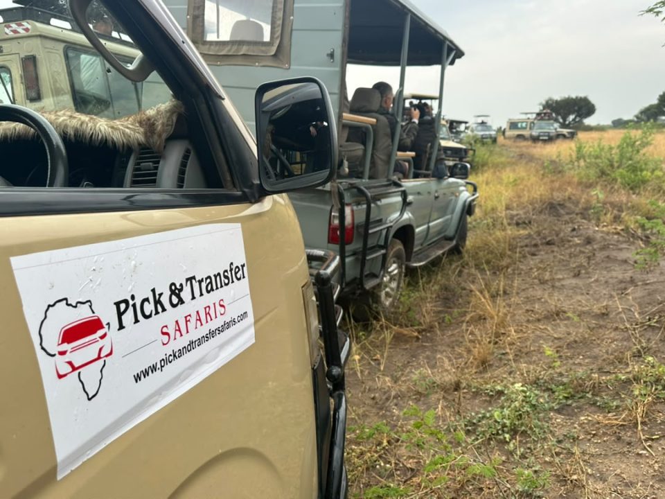 short-gorilla-safari-in-uganda-beginning-from-kigali