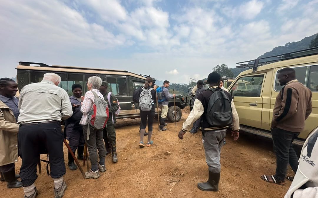 two-days-uganda-gorilla-tour-beginning-from-rwanda