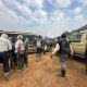 two-days-uganda-gorilla-tour-beginning-from-rwanda