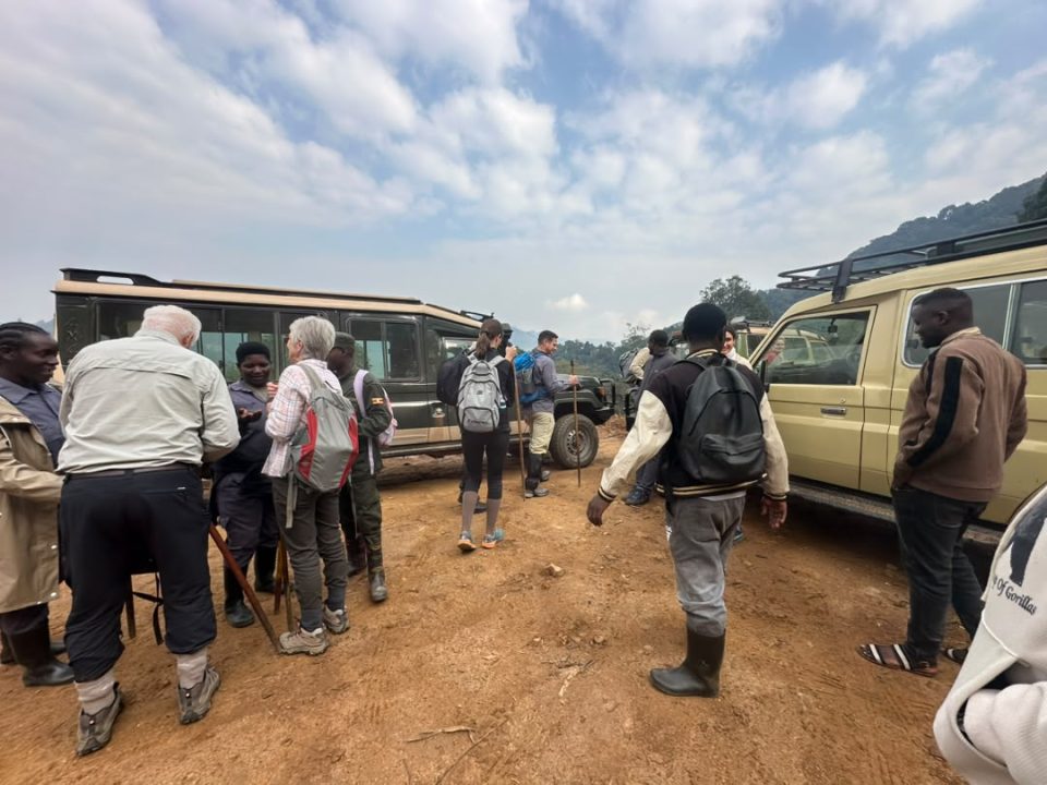two-days-uganda-gorilla-tour-beginning-from-rwanda