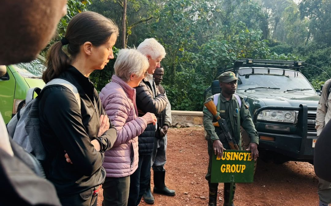 one-day-short-gorilla-tour-in-uganda