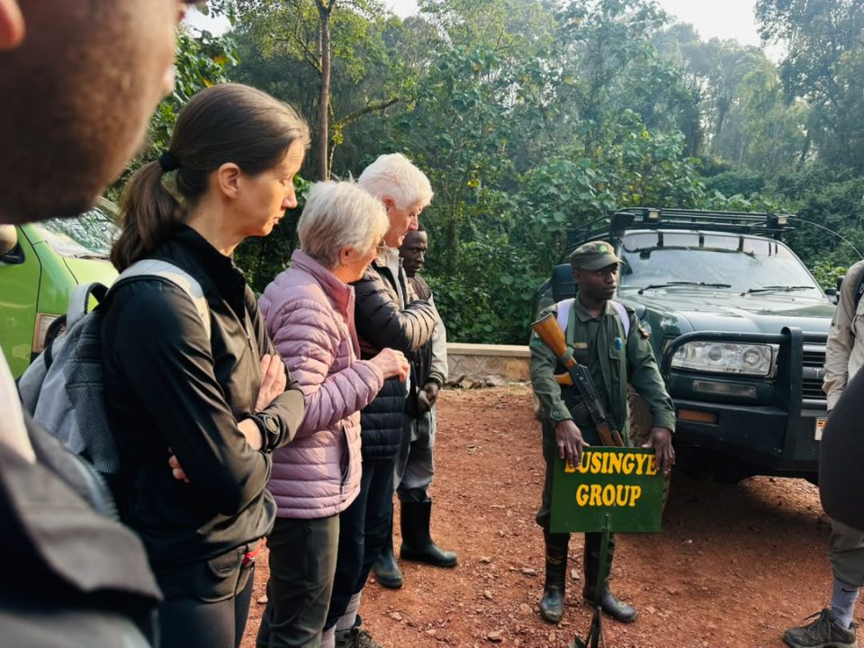 one-day-short-gorilla-tour-in-uganda
