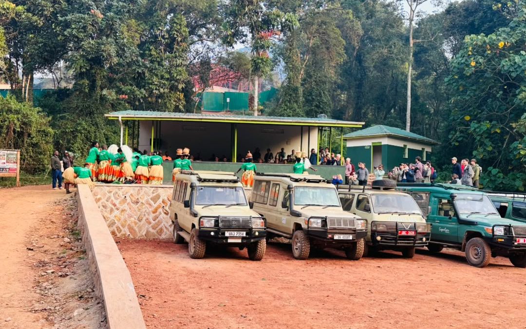 how-much-is-a-short-gorilla-tour-in-rwanda