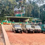 how-much-is-a-short-gorilla-tour-in-rwanda