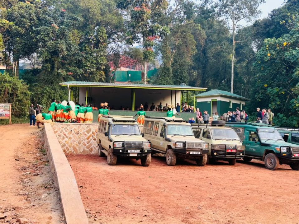 how-much-is-a-short-gorilla-tour-in-rwanda