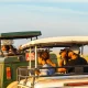 short-gorilla-trekking-tours-rwanda-uganda