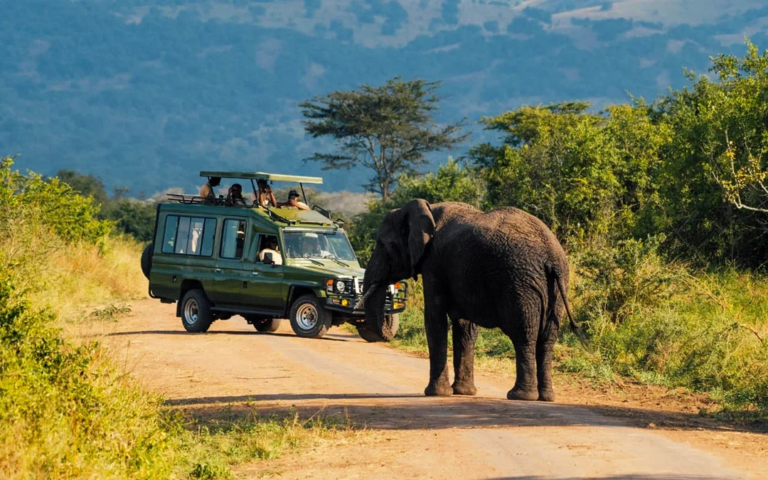 akagera-national-park-safari-the-complete-travel-guide