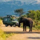 akagera-national-park-safari-the-complete-travel-guide