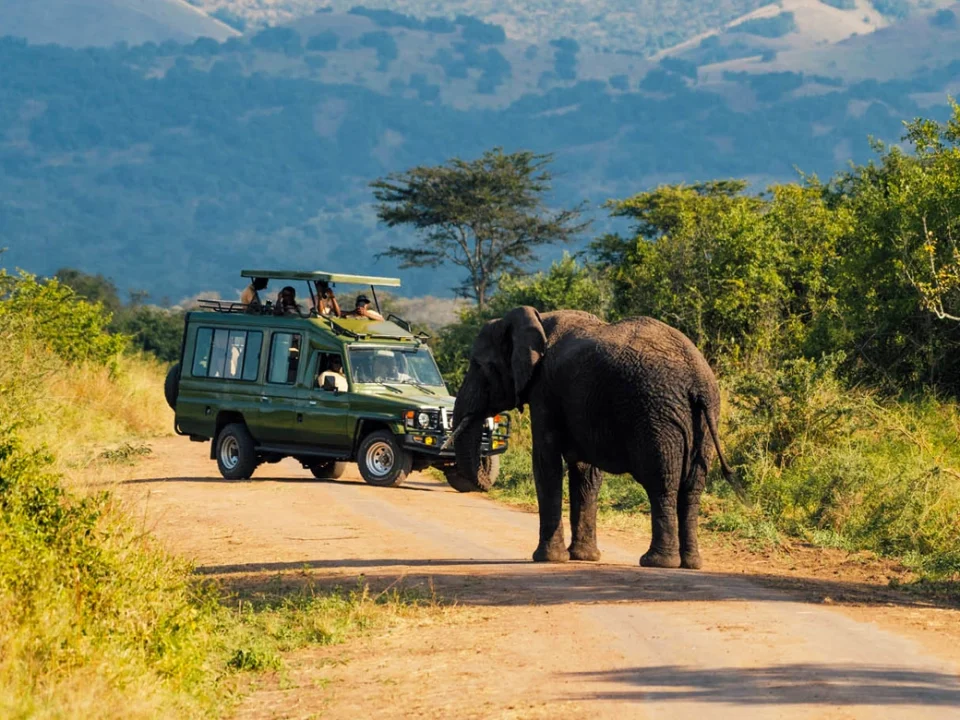 akagera-national-park-safari-the-complete-travel-guide