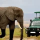 rwanda-big-five-safari-can-you-see-the-big-five-in-akagera