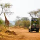 3-day-akagera-safari-rwanda-the-perfect-wildlife-itinerary