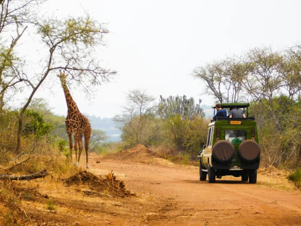3-day-akagera-safari-rwanda-the-perfect-wildlife-itinerary