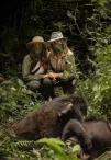 Honeymoon Gorilla Safari from Kigali to Uganda