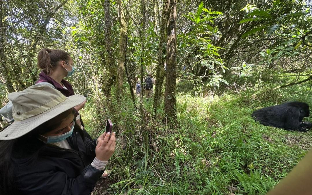 kigali-airport-to-bwindi-gorilla-safari