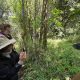 kigali-airport-to-bwindi-gorilla-safari