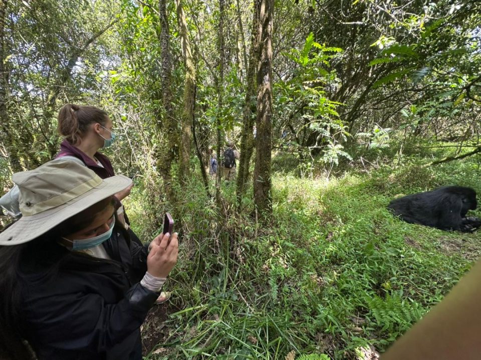 kigali-airport-to-bwindi-gorilla-safari