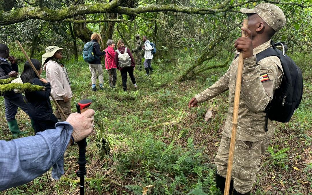 how-to-plan-a-bwindi-gorilla-tour-from-kigali